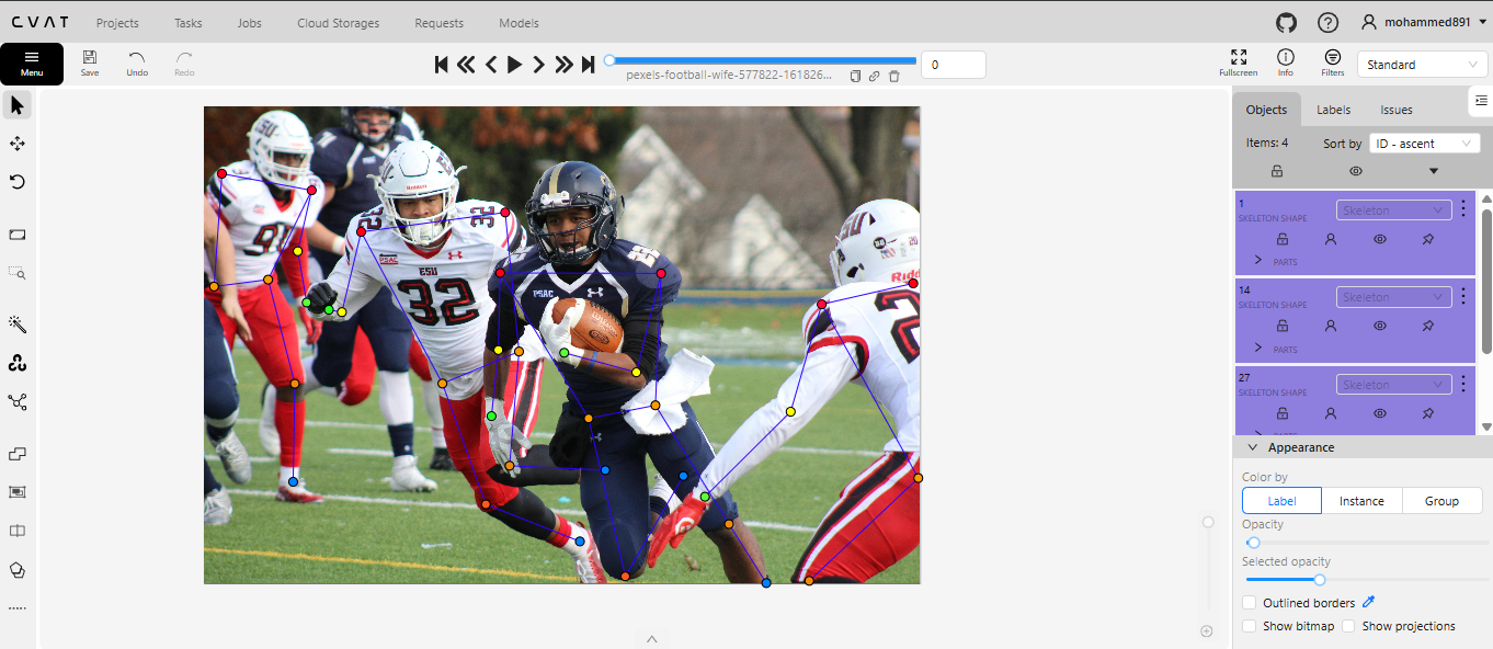 Keypoint Annotation Example